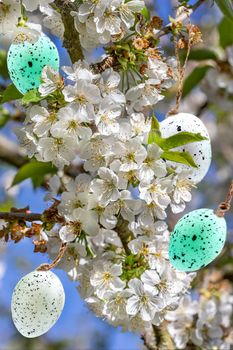 Green and white eggs hidden in a cluster of flowers.