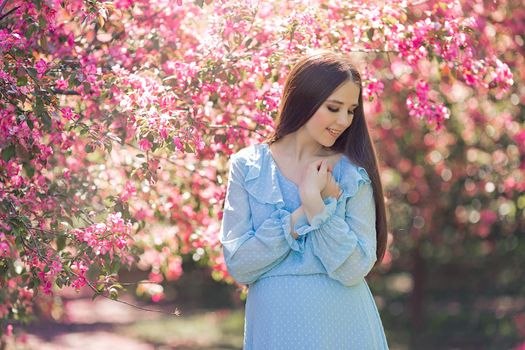 Pretty brunette girl in light blue dress, with long hair is standing near a pink blooming apple trees, in the summer in the garden. Copy space