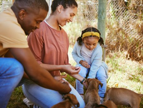 Black family, mother and father with child, puppies and playful together outdoor. African American parents, girl and with pets for adoption, happy and bonding on farm, for happiness and at shelter