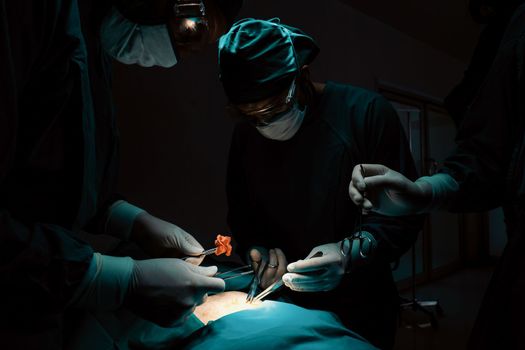 Surgical team performing surgery to patient in sterile operating room. In a surgery room lit by a lamp, a professional and confident surgical team provides medical care to an unconscious patient.