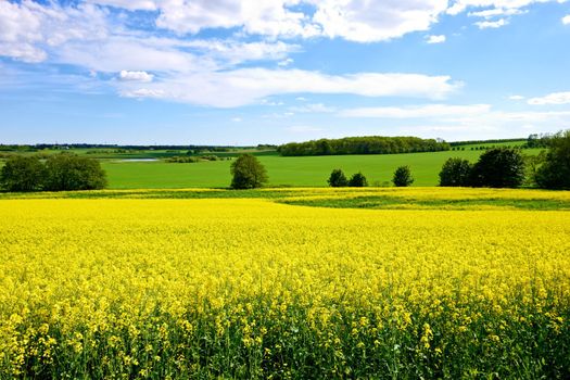 A photo landscape and countryside photo with extreme DOF (tiltshift lens used).
