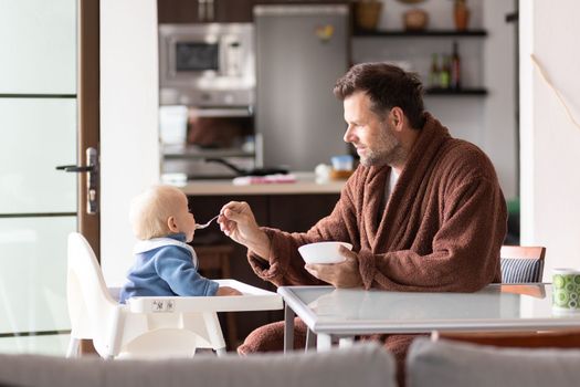 Father wearing bathrope spoon feeding hir infant baby boy child sitting in high chair at the dining table in kitchen at home in the morning.