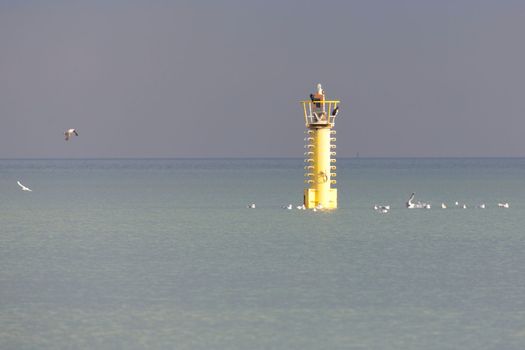 Lighthouse in the sea with gulls