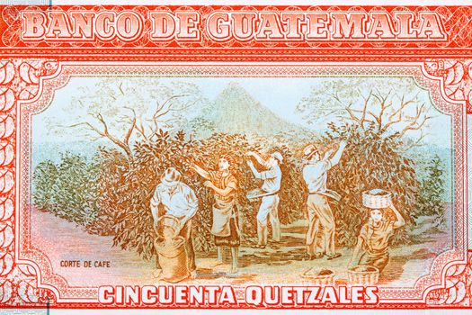 Crop workers from Guatemalan money - Quetzal