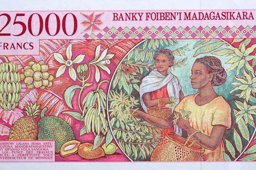 Woman harvesting from Malagasy money - Ariary