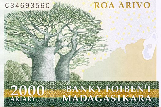 Baobabs from old Malagasy money - Ariary