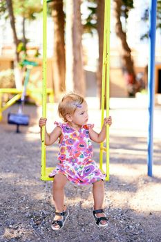 Little girl sitting on a swing in the playground. High quality photo