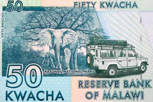 Kasungu National Park from Malawian money - kwacha