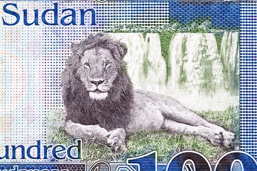 Lion and waterfall from South Sudanese money -  pound