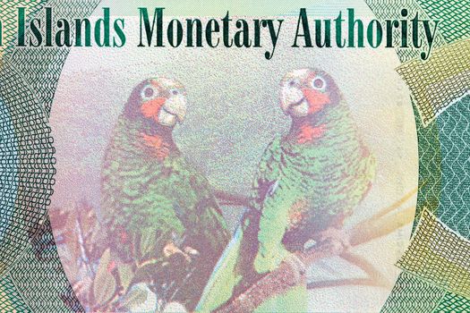 Cayman parrots from Cayman Islands money - dollars