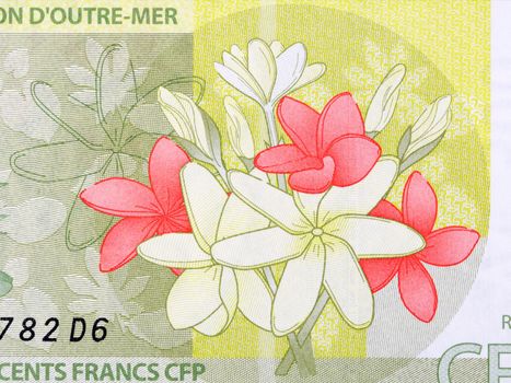 Flowers from French Pacific Territories money - Francs