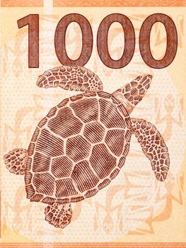 Tortoise from French Pacific Territories money - Francs