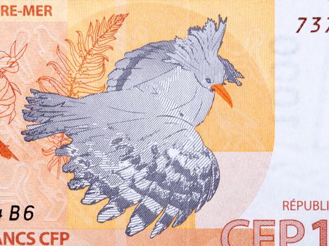 Bird from French Pacific Territories from money - Franc