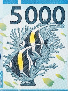 Coralfish from French Pacific Territories money - Franc