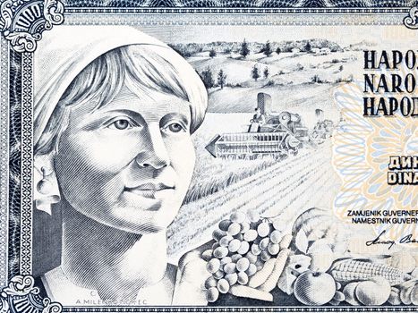 Woman with fruits from Yugoslav money -  dinar