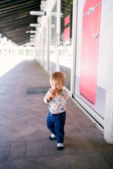 Kid walks along the tiles along the house and gnaws a carrot. High quality photo