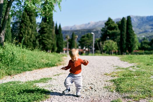 Kid walks along the path among the trees against the background of mountains. High quality photo