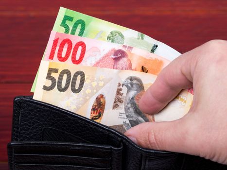 Seychellois rupee in the black wallet