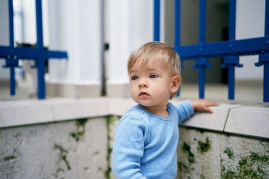 Kid stands near a metal fence in the yard. High quality photo