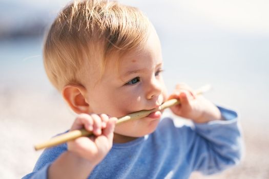 Small child sits and gnaws a wooden stick. Close-up. Portrait. High quality photo