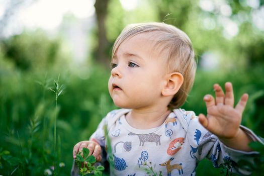 Cute baby in the tall grass. Portrait. High quality photo
