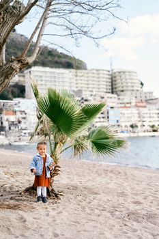 Little girl in a dress and a denim jacket with a toy in her arm stands on the background of a palm tree on the beach in the city of Rafailovici, Montenegro. High quality photo