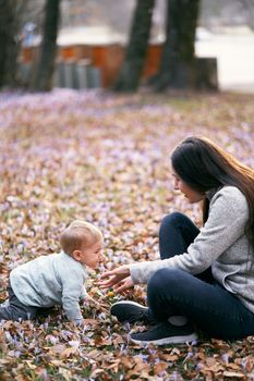 Mom sits on the foliage in the park stretching out her hands to the baby crawling towards her. High quality photo