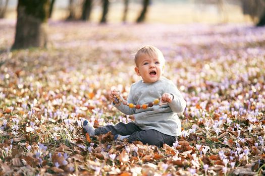 Cute baby sits on fallen leaves, looks away in surprise and holds a rattle in his hands. High quality photo