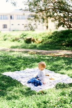 Small baby sits on a plaid blanket on the lawn against the background of buildings and trees and looks to the side. High quality photo