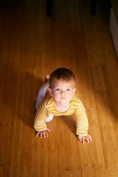 Serious toddler crawls on the wooden floor in the room. View from above. High quality photo