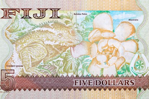 Iguana and Balaka palm from Fijian money - Dollars