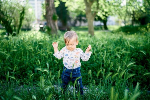 Kid stands with his hands up among the tall green grass in the park. High quality photo