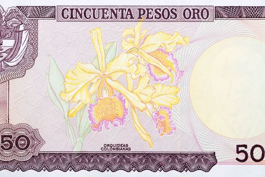 Colombian orchids from old money - Pesos