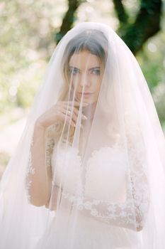 Bride in a white lace dress covered with a veil. Portrait. High quality photo