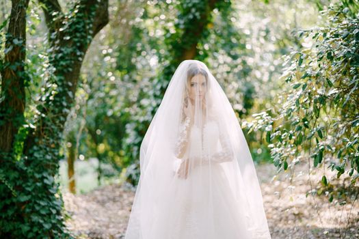 Bride in a white lace dress, covered with a veil, stands among the ivy-covered trees . High quality photo