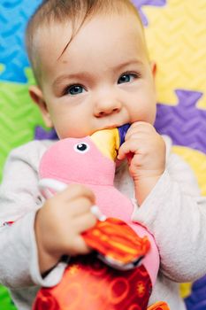 Baby lies on a colored blanket and chews on a stuffed bird toy. Close-up. View from above. High quality photo