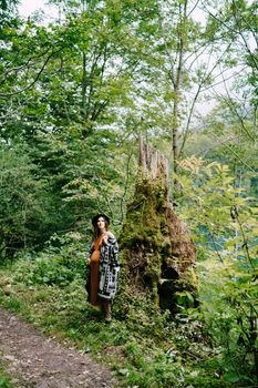 Pregnant woman stands near mossy tree near path in park. High quality photo