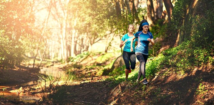 Out exercising and exploring together. two sporty young women out exercising in nature