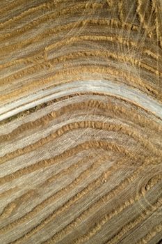 Aerial photographic documentation of the straw drying phase before harvesting 