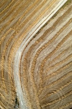 Aerial photographic documentation of the straw drying phase before harvesting 