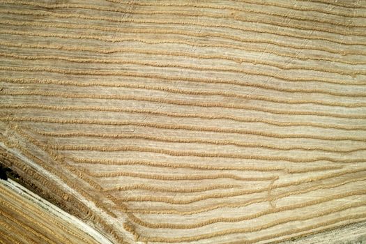 Aerial photographic documentation of the straw drying phase before harvesting 