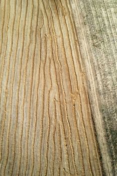 Aerial photographic documentation of the straw drying phase before harvesting 