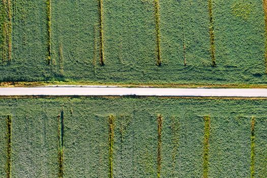 Aerial photographic documentation of a field dedicated to the cultivation of soybeans