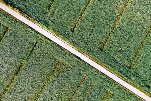 Aerial photographic documentation of a field dedicated to the cultivation of soybeans