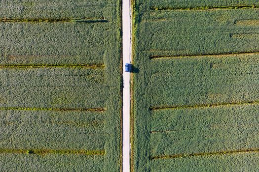 Aerial photographic documentation of a field dedicated to the cultivation of soybeans