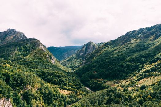 Tara river canyon covered with forest. Montenegro. High quality photo