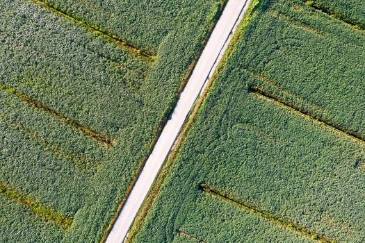 Aerial photographic documentation of a field dedicated to the cultivation of soybeans