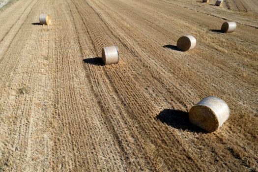 Aerial photographic documentation of a field with round bales in the summer season