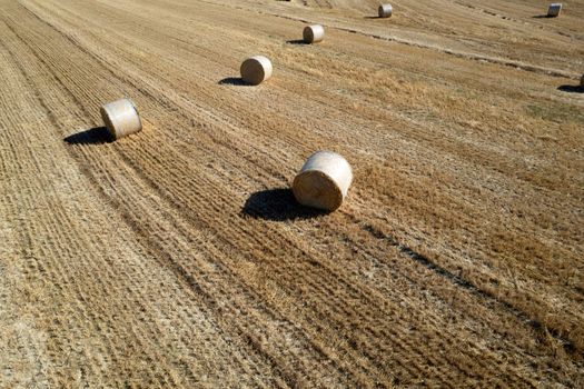 Aerial photographic documentation of a field with round bales in the summer season