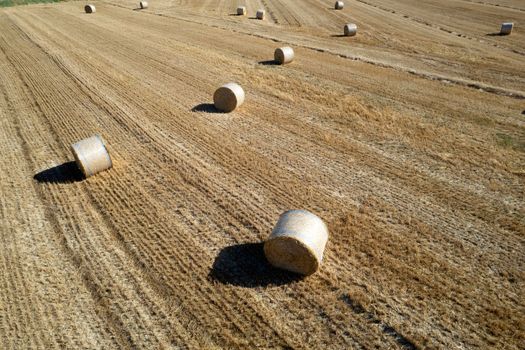 Aerial photographic documentation of a field with round bales in the summer season